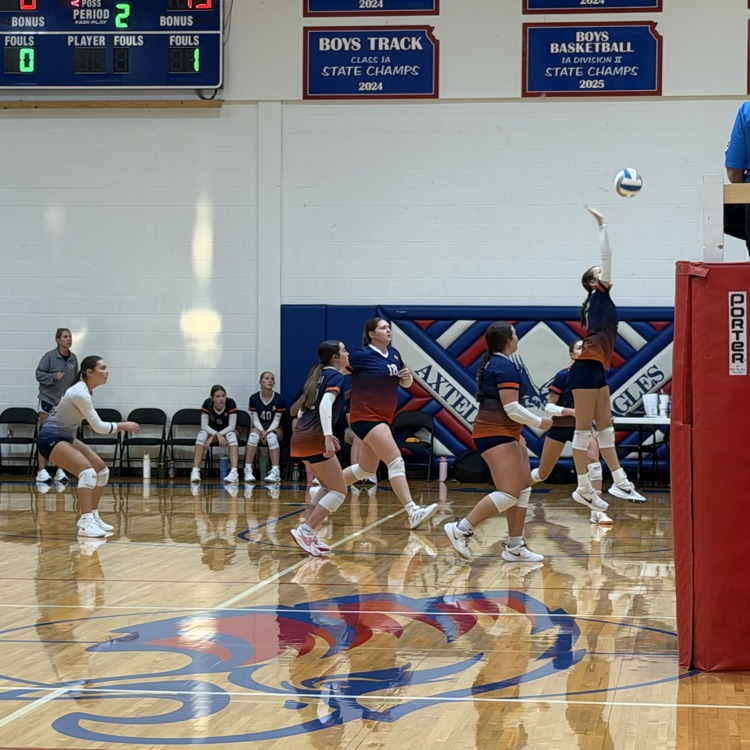 HS VB