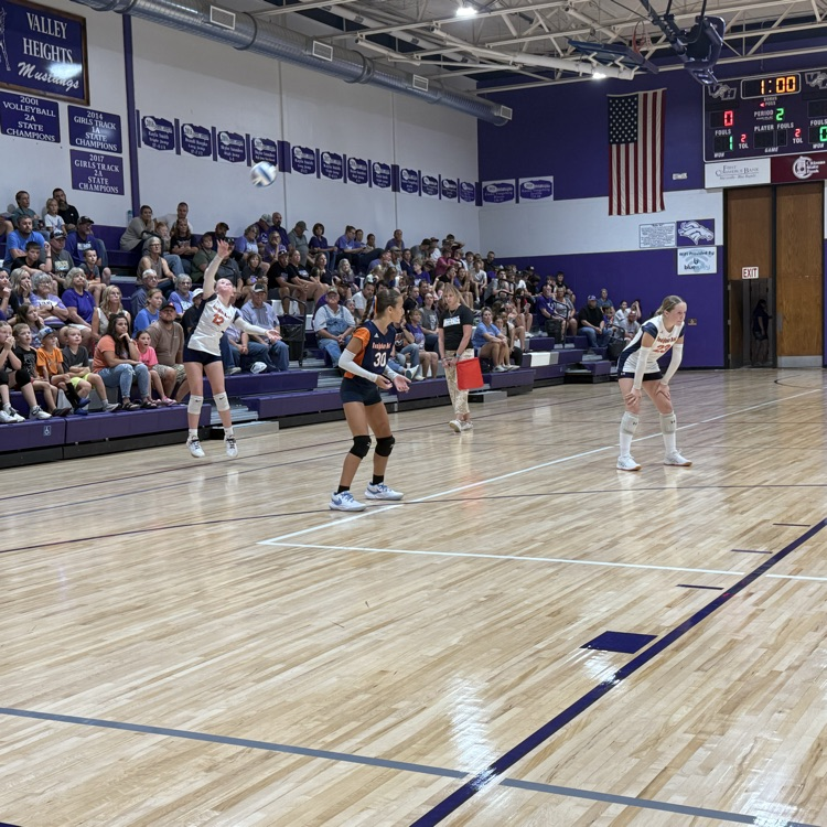 JH VB