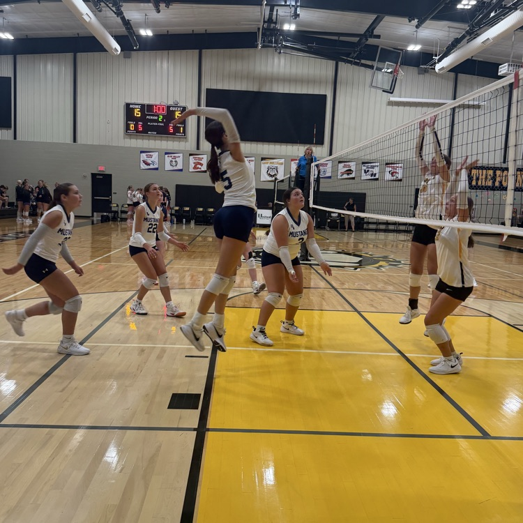 HS VB