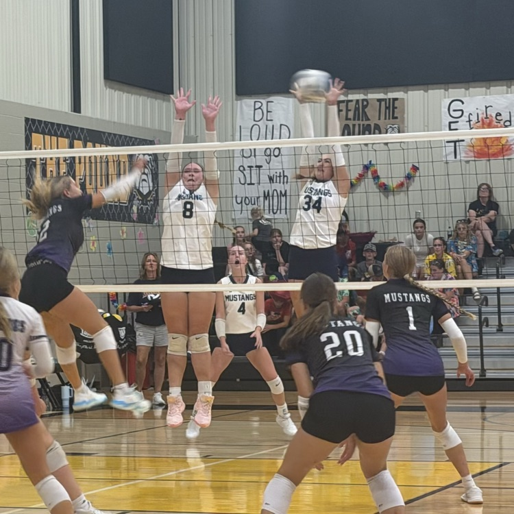 HS VB