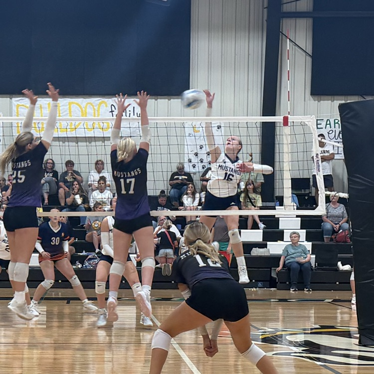 HS VB
