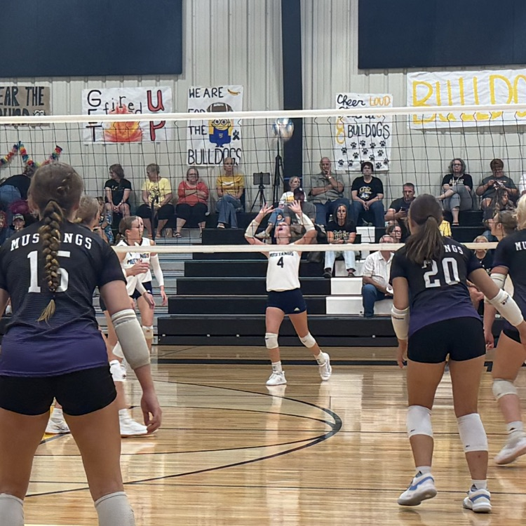 HS VB