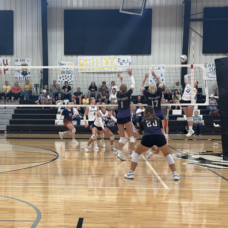 HS VB