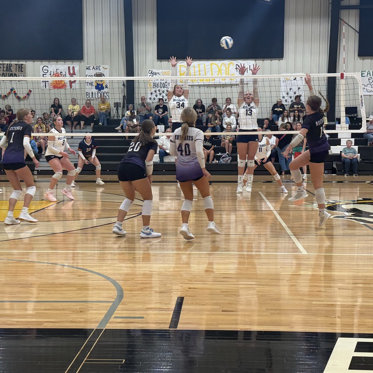 HS VB