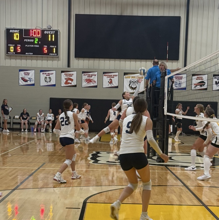 HS VB