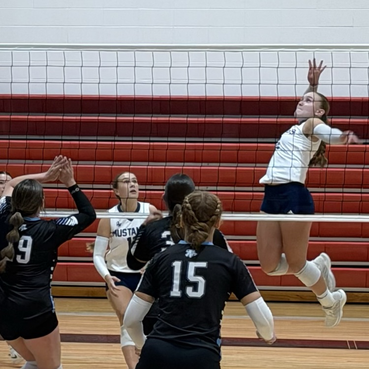 HS VB