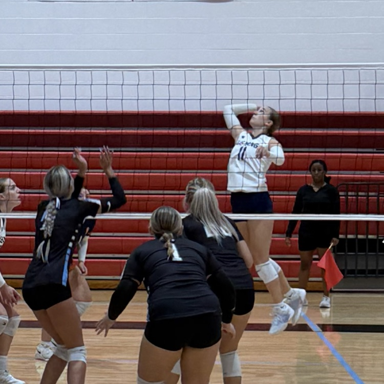 HS VB