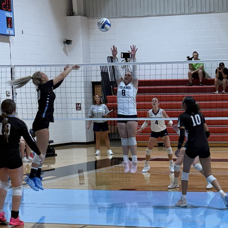 HS VB