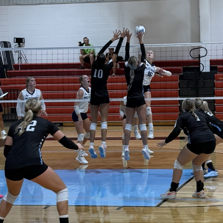 HS VB