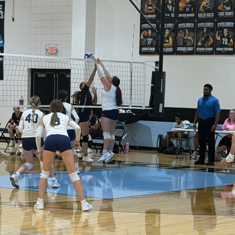 HS VB