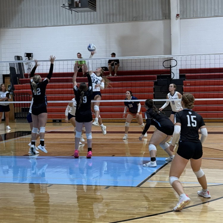 HS VB