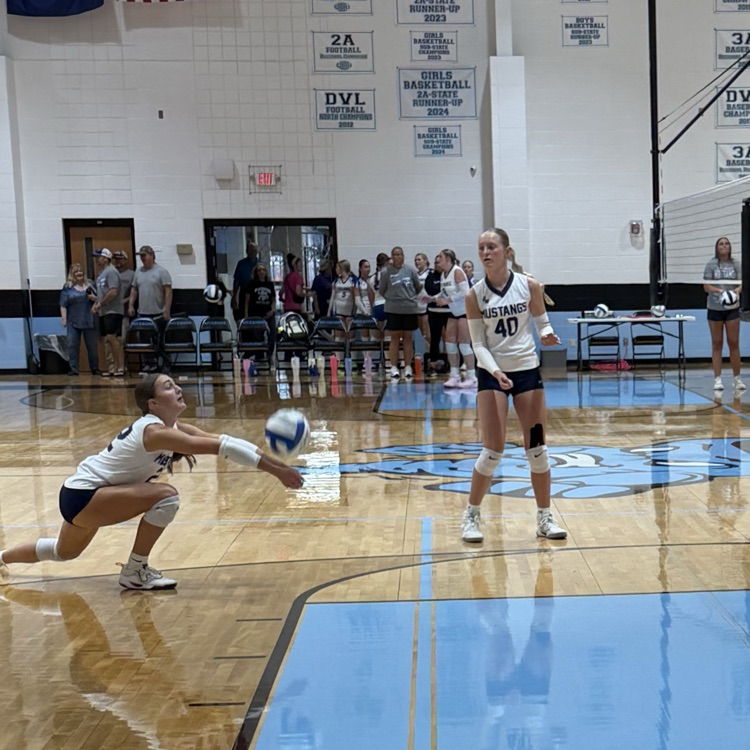 HS VB