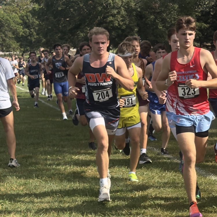 HS CC