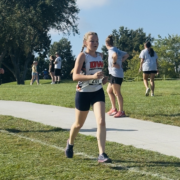 HS CC