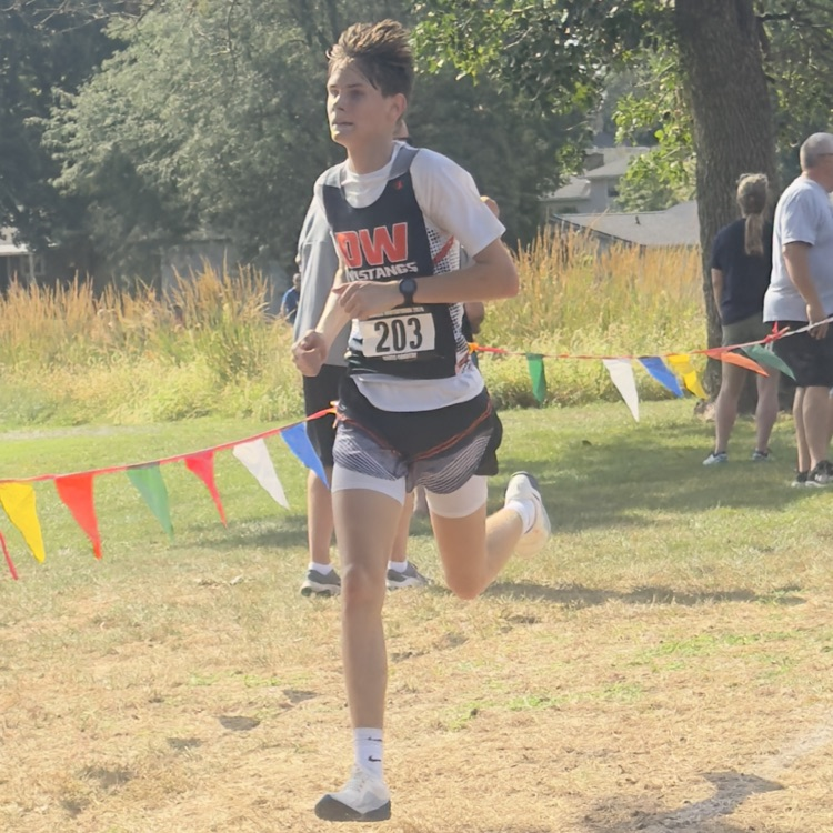 HS CC