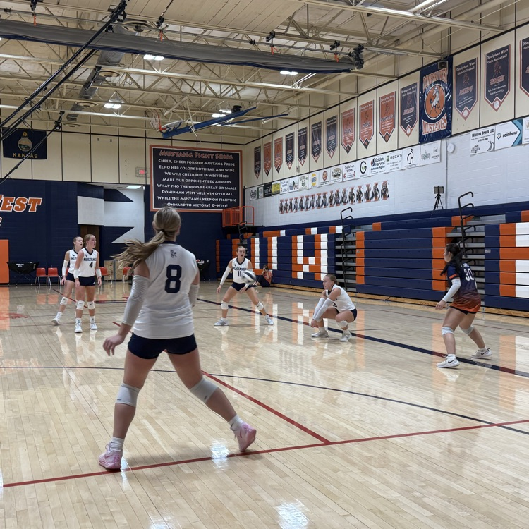 HS VB