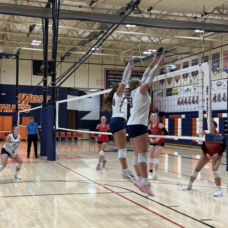 HS VB