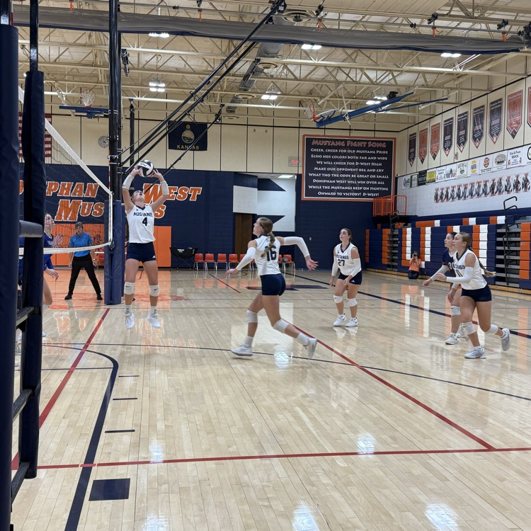 HS VB