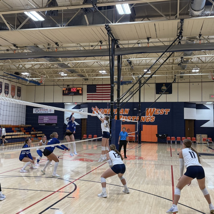 HS VB