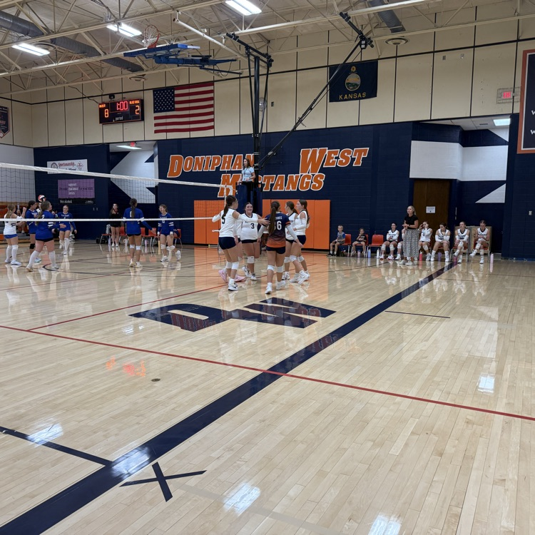 HS VB