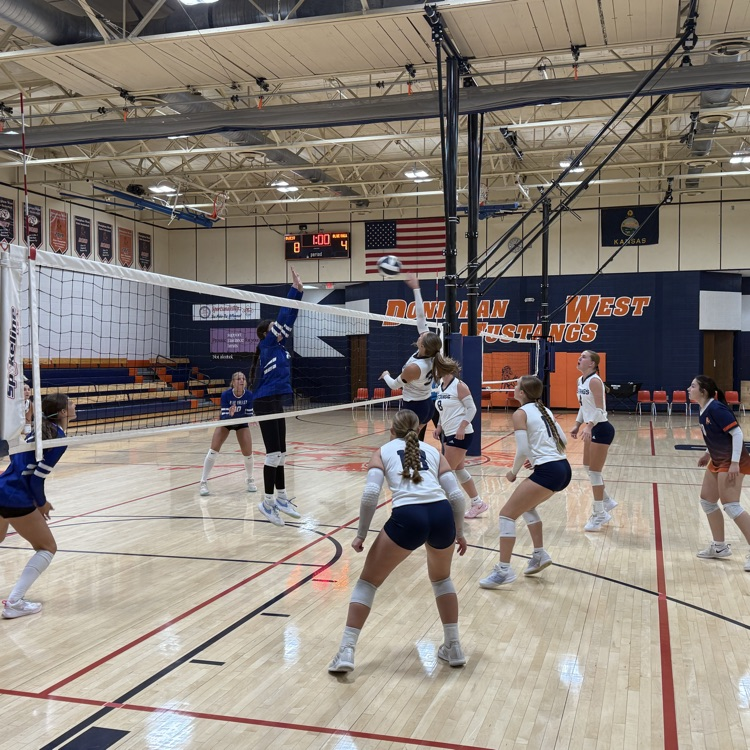 HS VB
