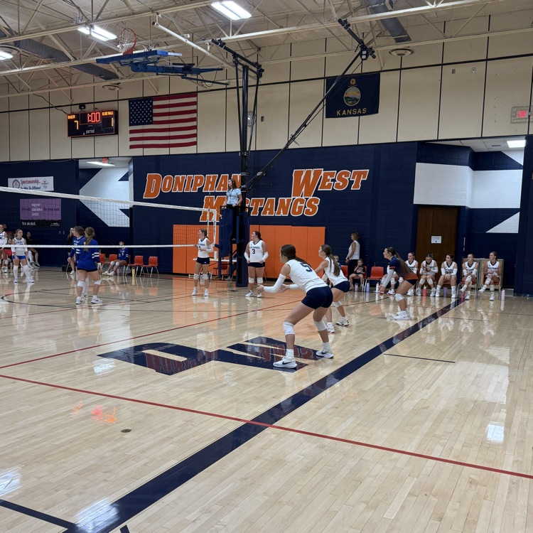 HS VB
