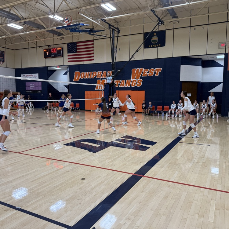 HS VB