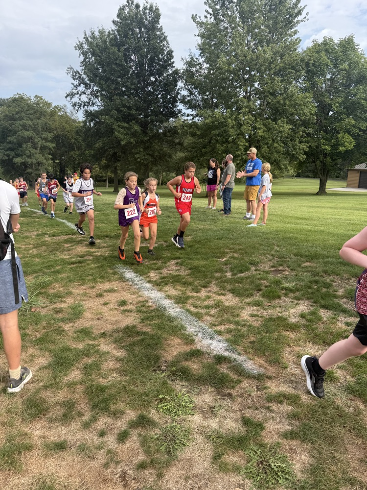 xc