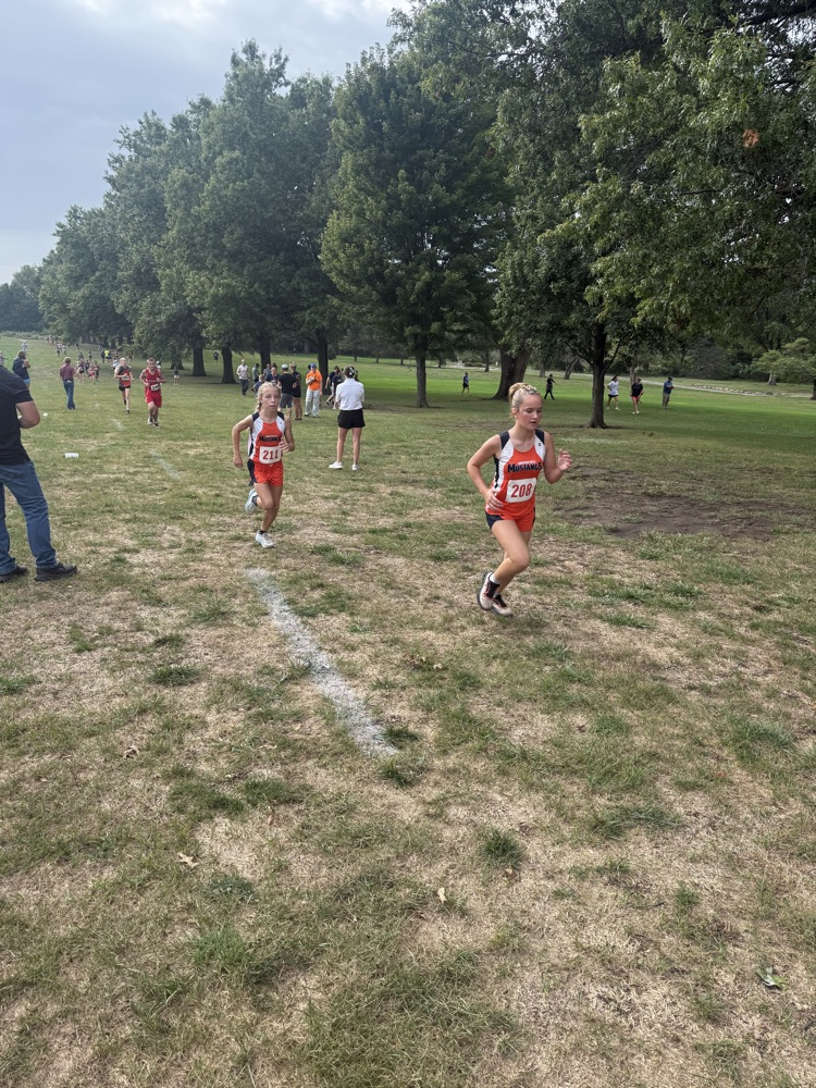 xc