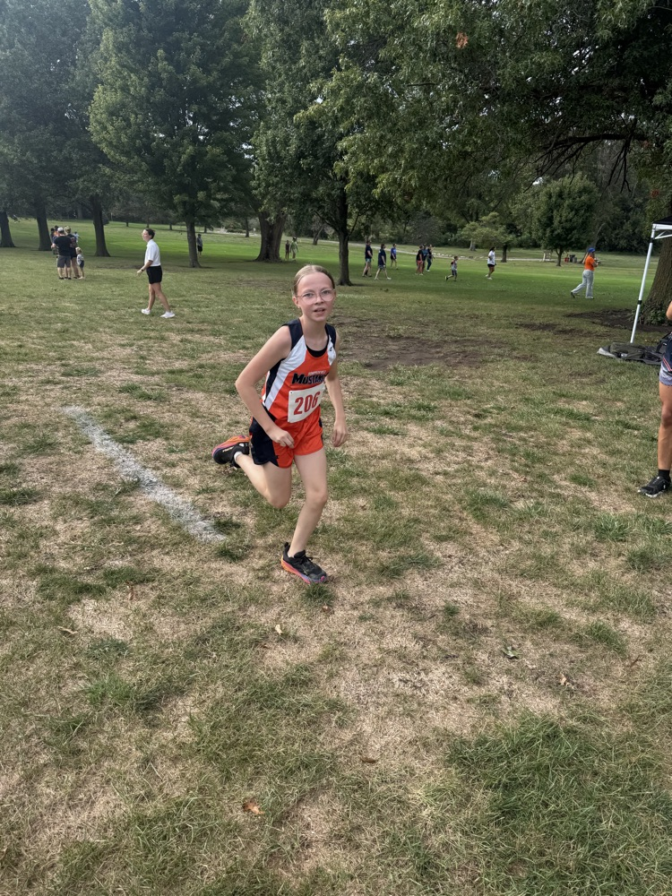 xc