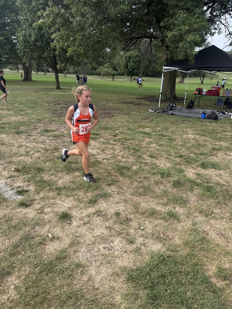 xc