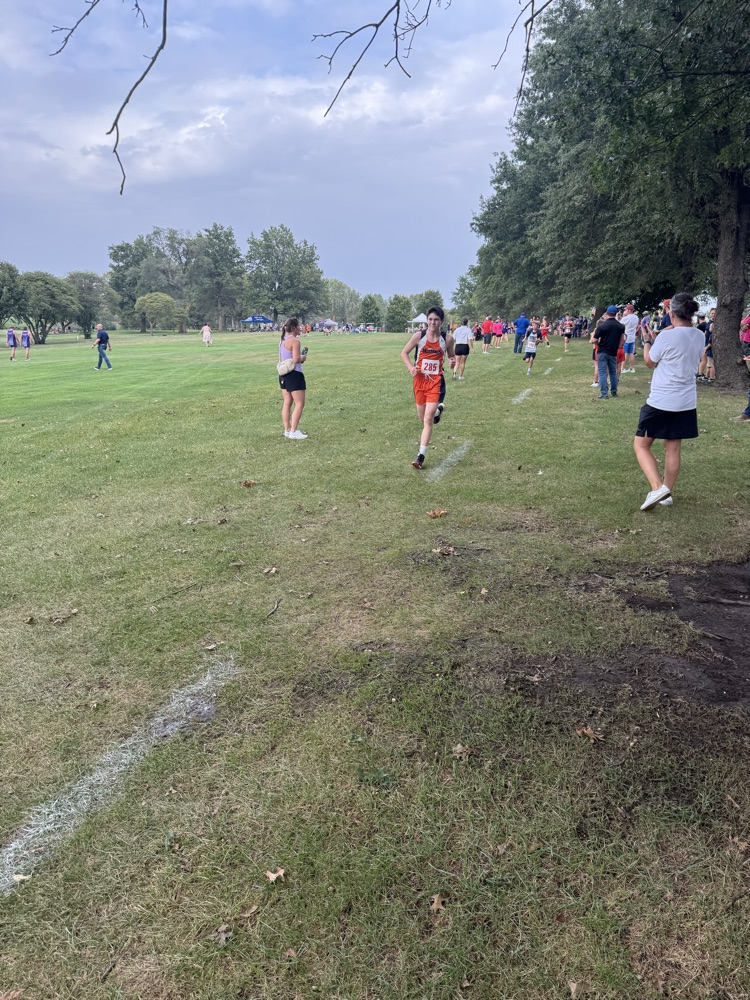 xc