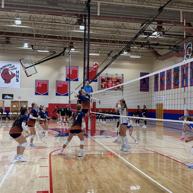 HS VB