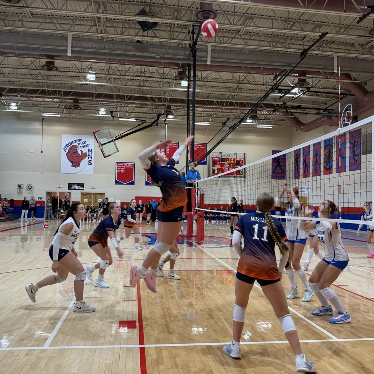 HS VB