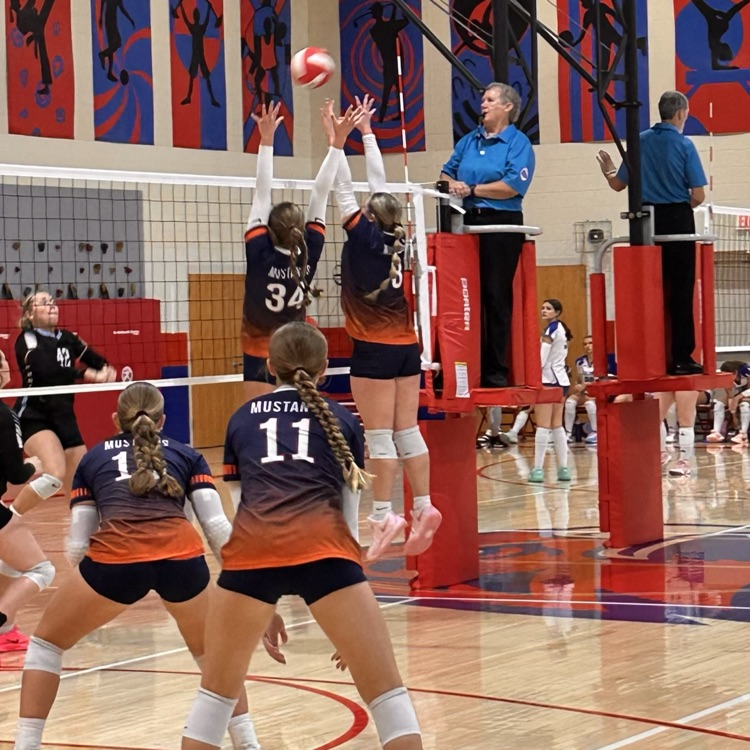 HS VB