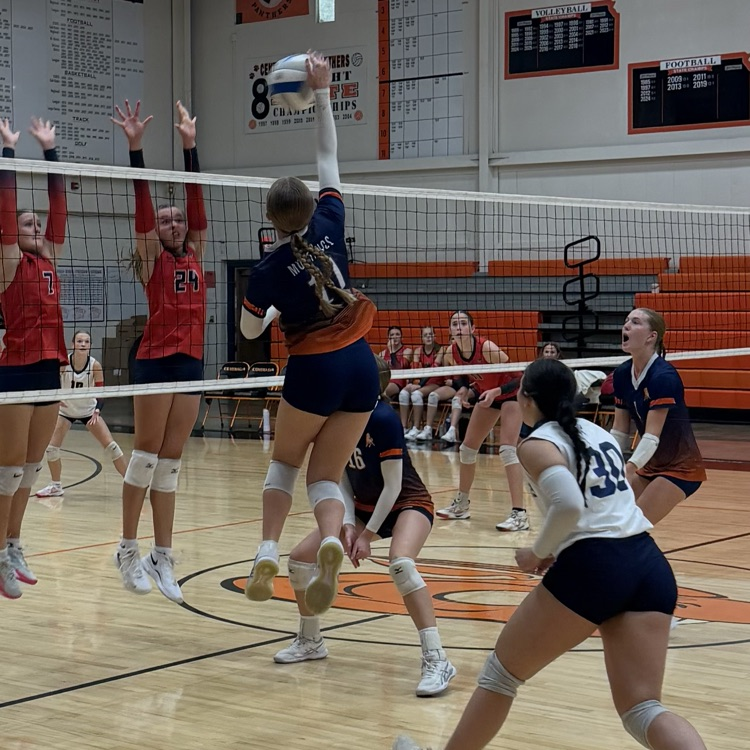 HS VB