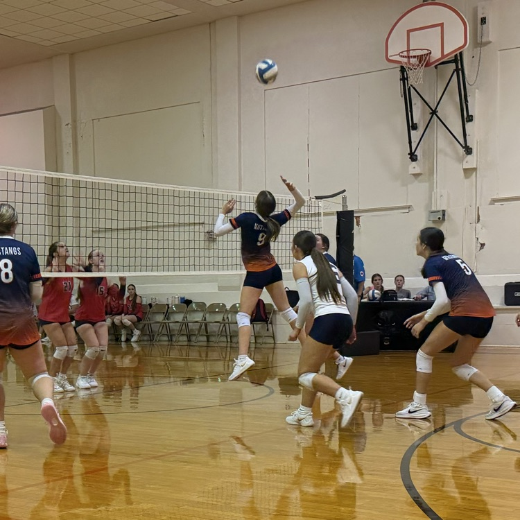 HS VB