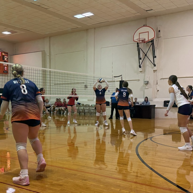 HS VB