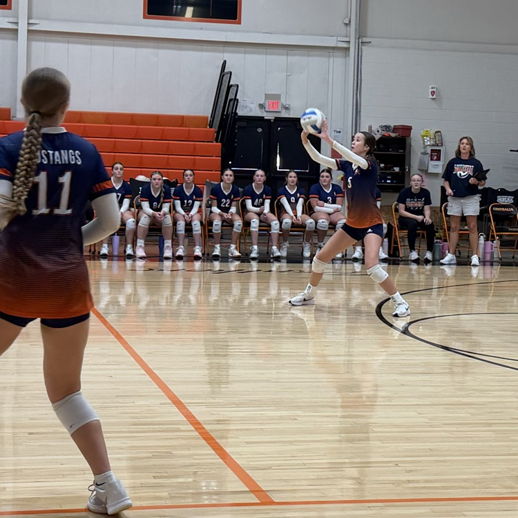 HS VB