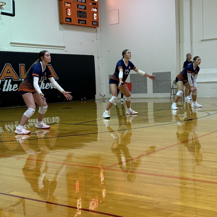 HS VB