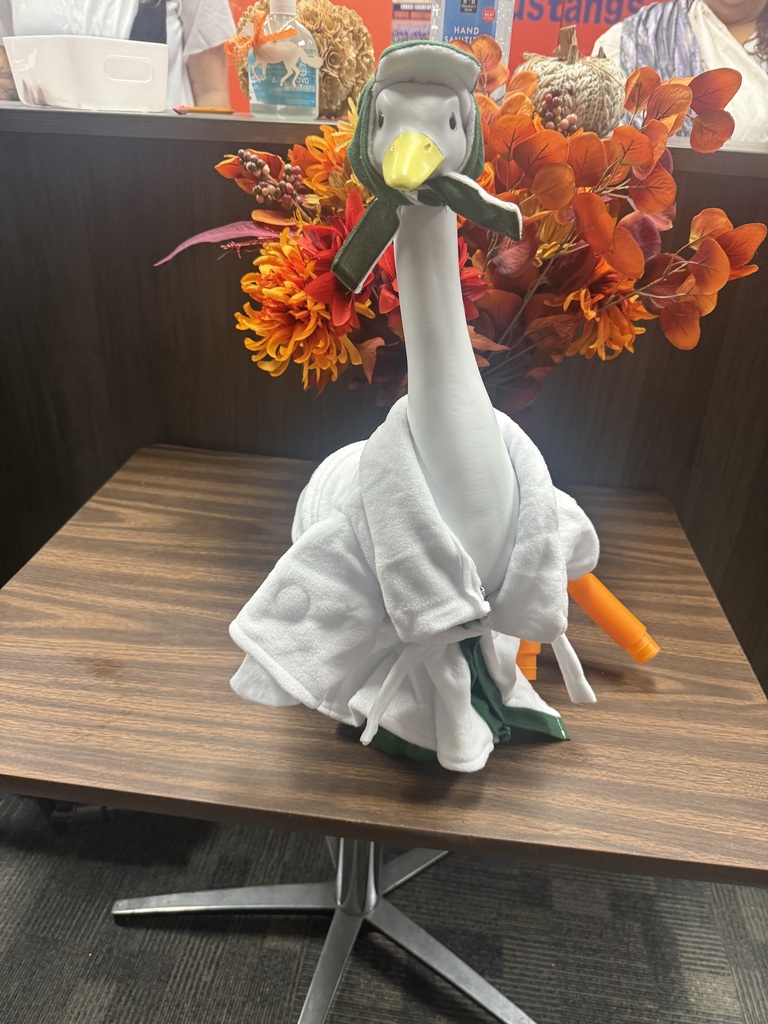 pj goose