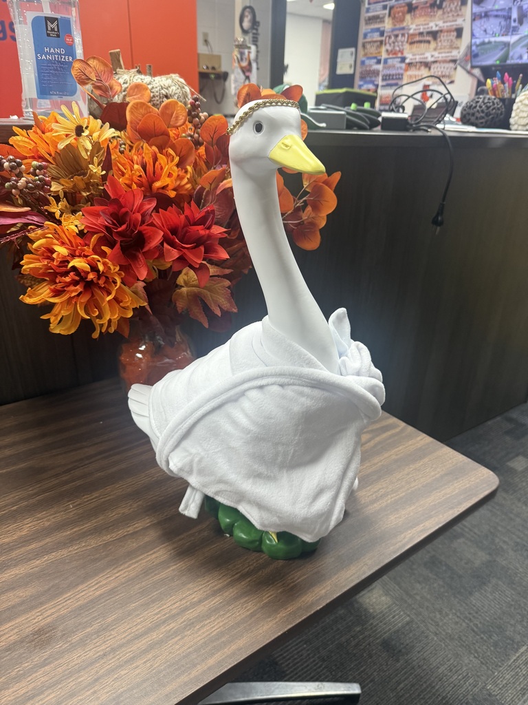 toga goose