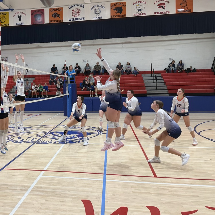 HS VB