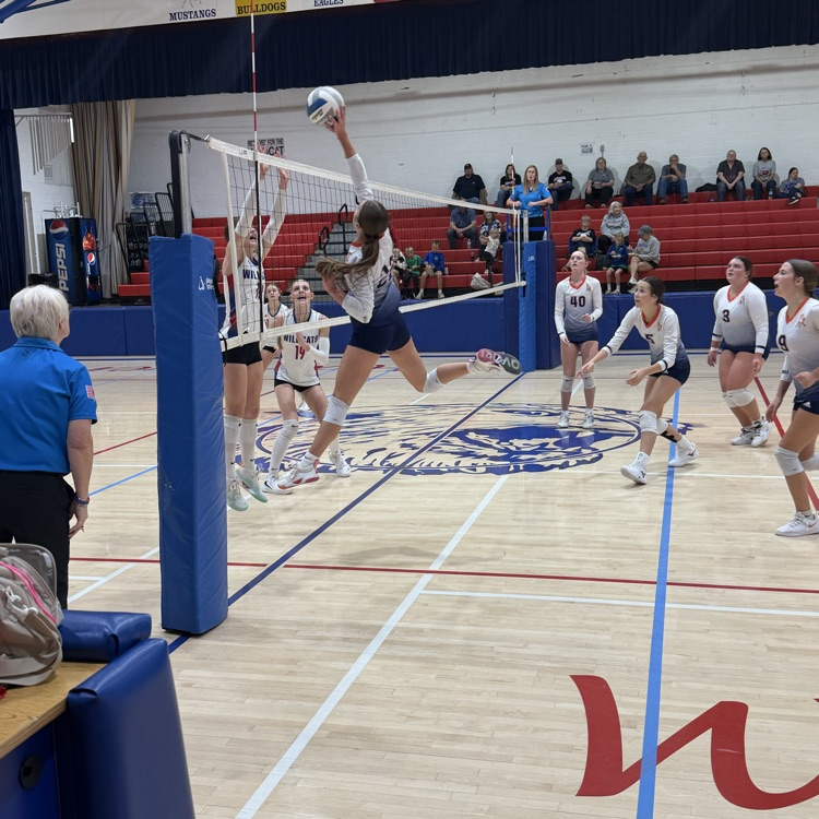HS VB