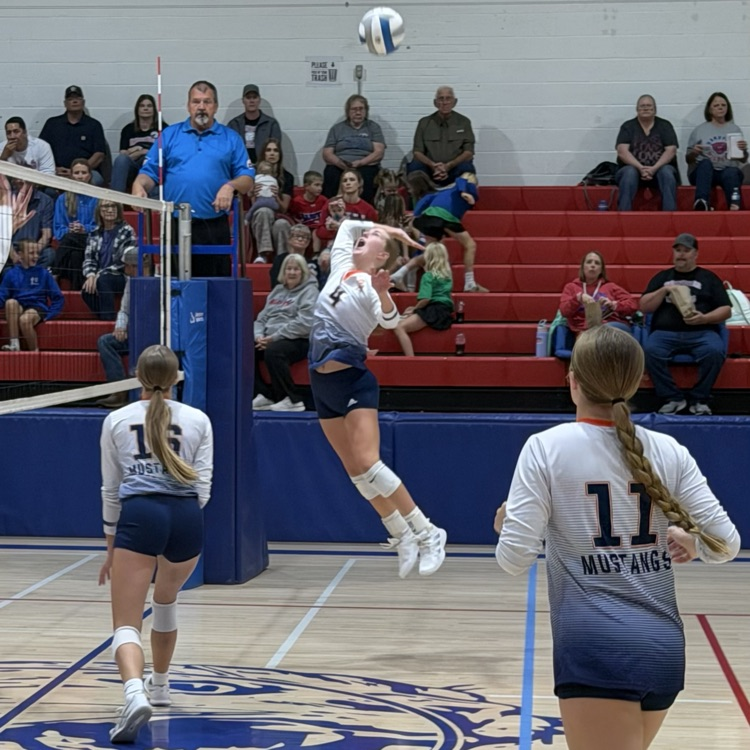 HS VB