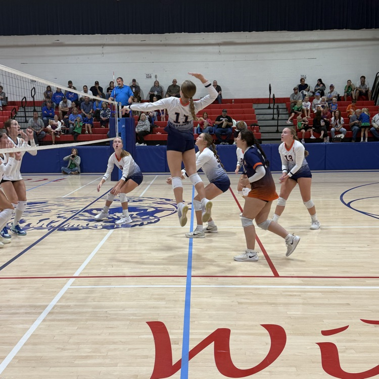 HS VB