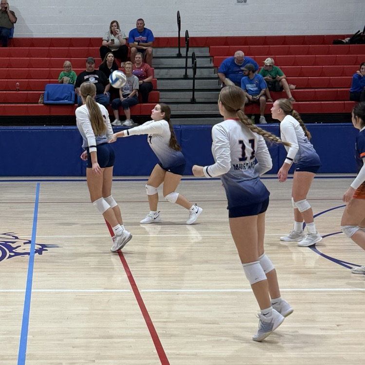 HS VB