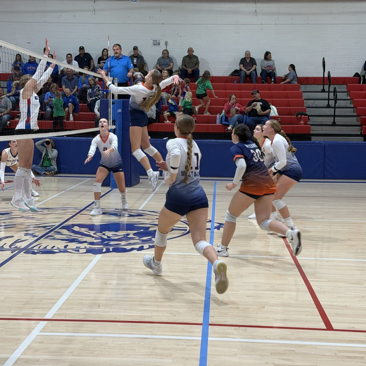 HS VB