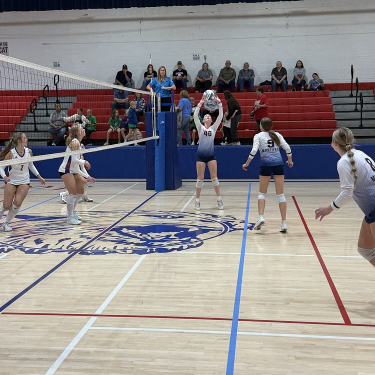 HS VB