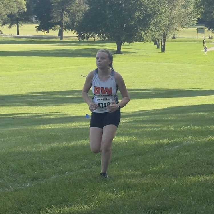 HS CC